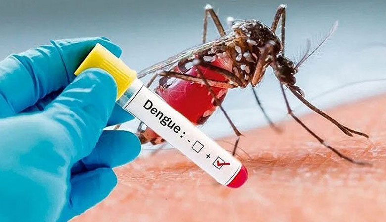 ডেঙ্গু আক্রান্ত হয়ে আরো ২৫২ জন হাসপাতালে ভর্তি