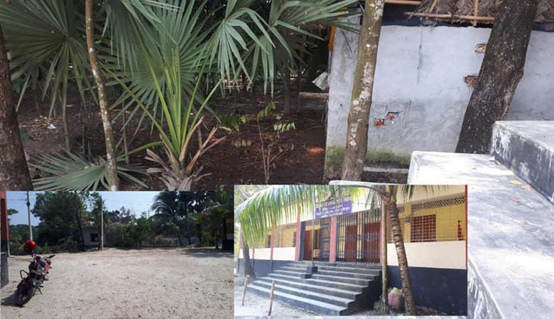 ফরিদগঞ্জে ময়লার ভাগাড় ও বালুর ব্যবসায় স্বাস্থ্য ঝুঁকিতে শিক্ষার্থীরা