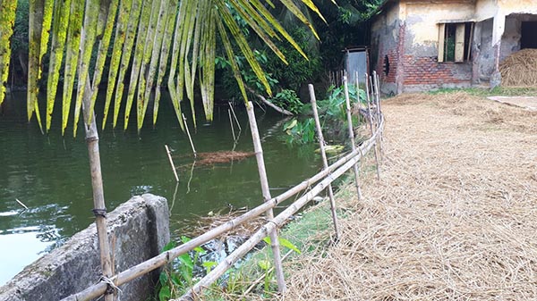 গাইডওয়াল না থাকায় বিদ্যালয়ের মাঠ পুকুরে ॥ ছাত্র-ছাত্রীদের খেলাধুলায় ব্যাঘাত ঘটছে