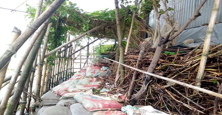 ঘুর্ণিঝড় সিত্রাং তান্ডব ১৫ বসতঘর নদী ভাংগনে ক্ষতিগ্রস্ত