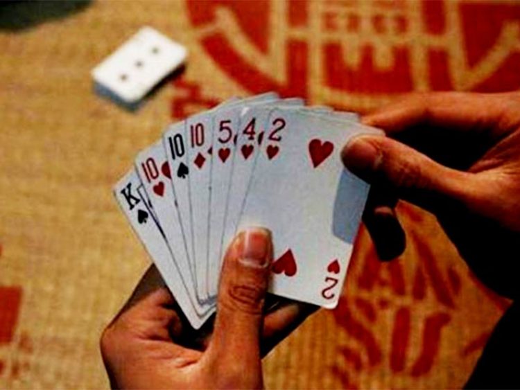 চরমেয়াশায় জমজমাট জুয়ার আসর