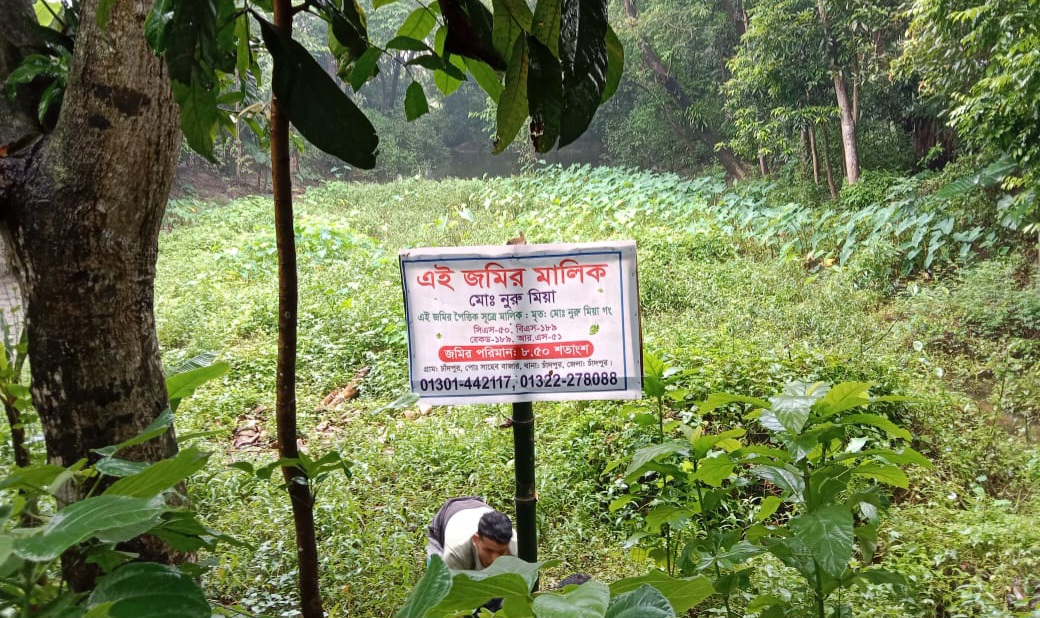 চাঁদপুর গ্রামে একটি নিরীহ পরিবারের সম্পত্তি দখল
