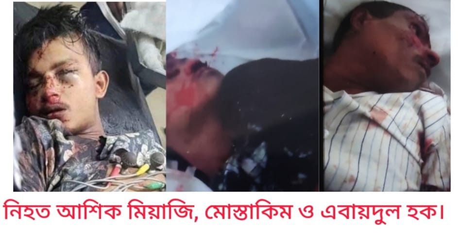 পৃথক সড়ক দূর্ঘটনায় মতলবের ৩ জন নিহত : আহত ৫