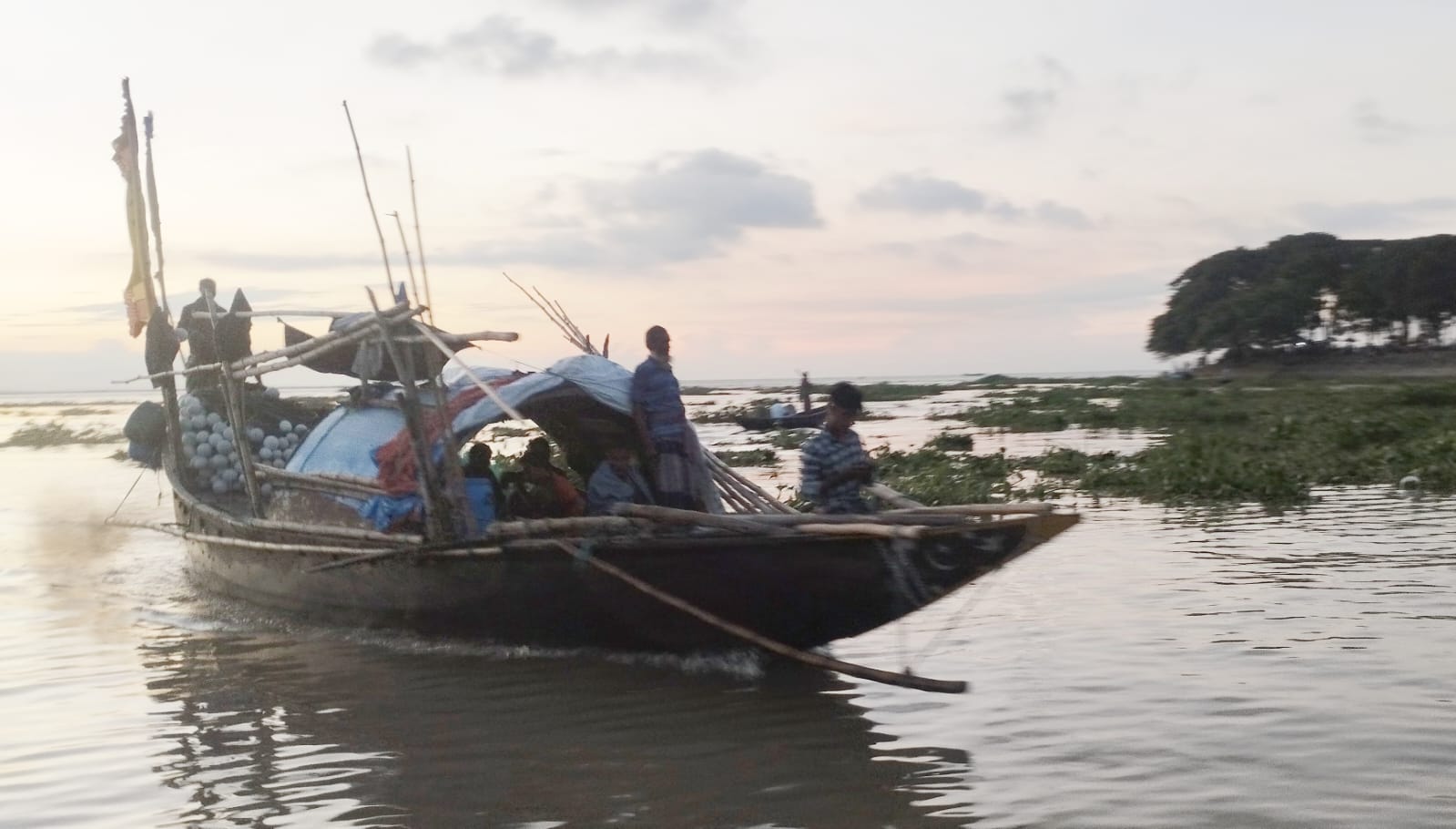 চাঁদপুরে ভরা মৌসুমে ইলিশের ঘাটতি, দামও চড়া