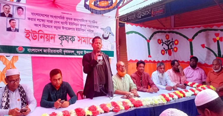 কচুয়ায় কৃষকদলের সমাবেশ
