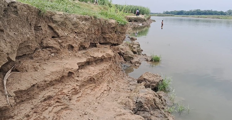 নানুপুরে ডাকাতিয়া নদীর অব্যাহত ভাঙ্গন
