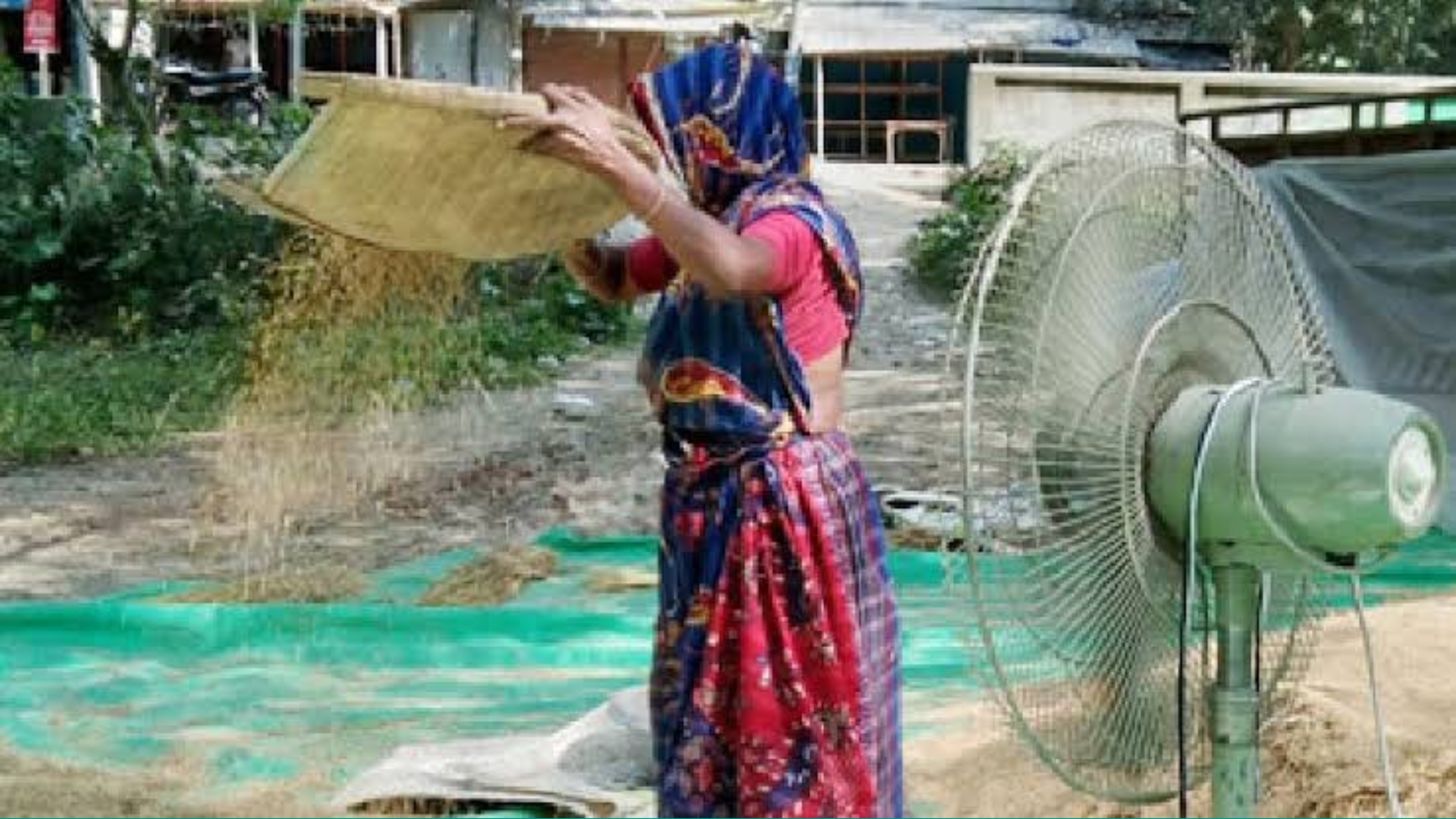 ফ্যানের বাতাসে ধান উড়াতে গিয়ে বিদ্যুৎস্পৃষ্ট হয়ে গৃহবধূর মৃত্যু