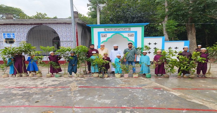 আব্দুল আজিজ ফাউন্ডেশনের  বৃক্ষরোপণ কর্মসূচি