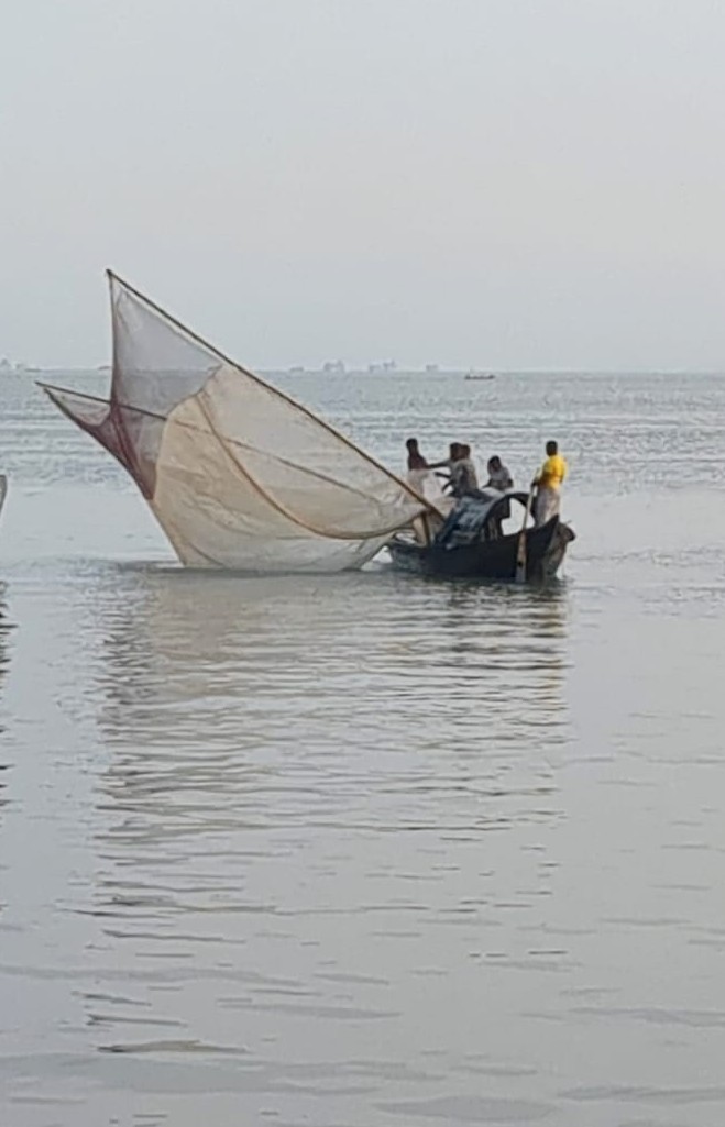 পোনা মাছ শিকার