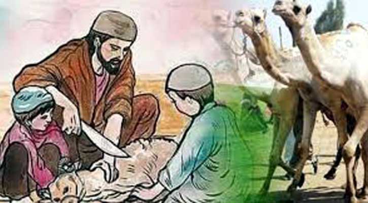 কুরবানি কী? আপনার উপর কুরবানি ওয়াজিব কিনা? কুরবানির ফযিলত