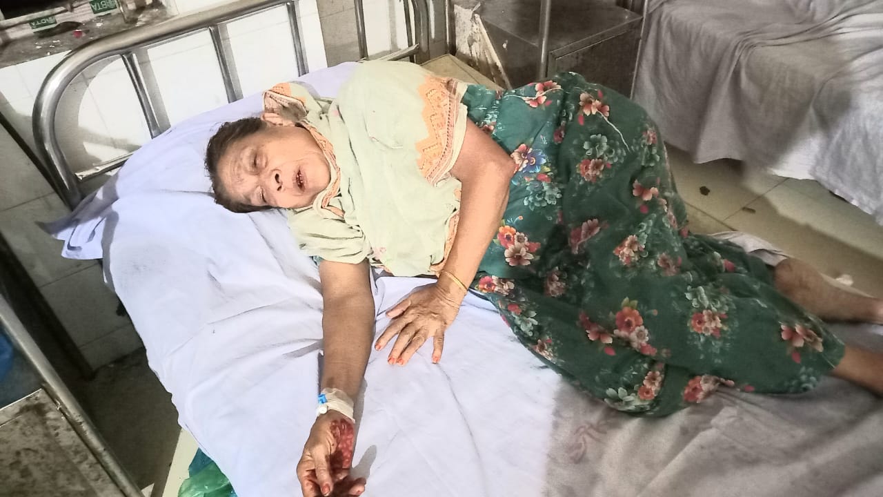 ফরিদগঞ্জে ছেলের হামলায় আহত ষাটোর্ধ্ব বৃদ্ধা মা হাসপাতালে কাতরাচ্ছেন