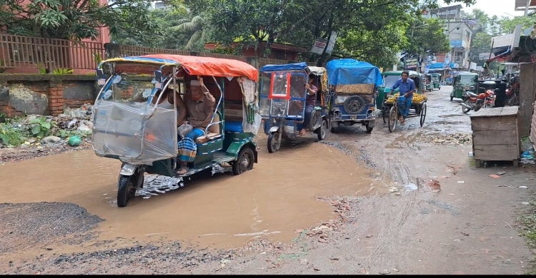 কচুয়া-কাশিমপুর সড়কের বেহাল দশা