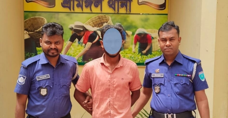 শ্রীমঙ্গলে ওয়ারেন্ট ও সাজাপ্রাপ্ত আসামিসহ আটক ৩