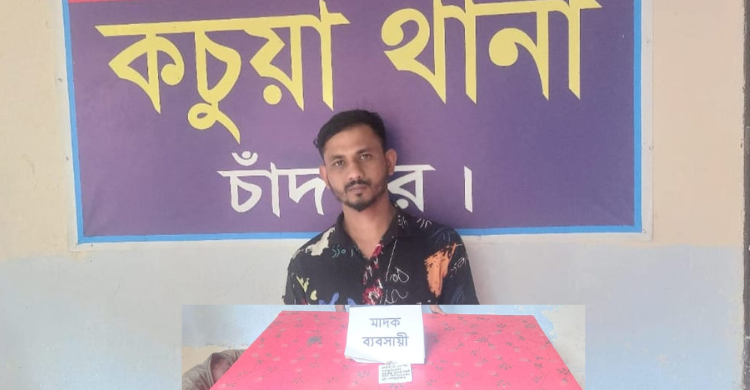 কচুয়ায় ইয়াবা ব্যবসায়ী ইয়াসিন গ্রেফতার