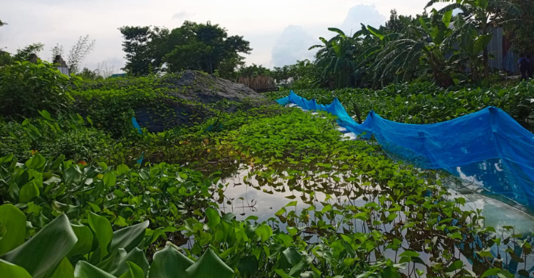 মতলবে সরকারি খাল দখলের প্রতিবাদ করায় মিথ্যা মামলা ও হয়রানির অভিযোগ