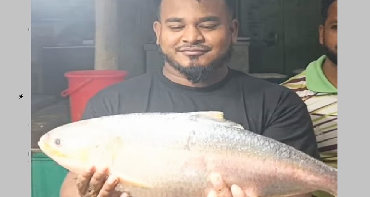 চাঁদপুর মাছঘাটে ২ কেজি ২০০ গ্রামের রাজা ইলিশ বিক্রি হলো ১২১০০ টাকায়