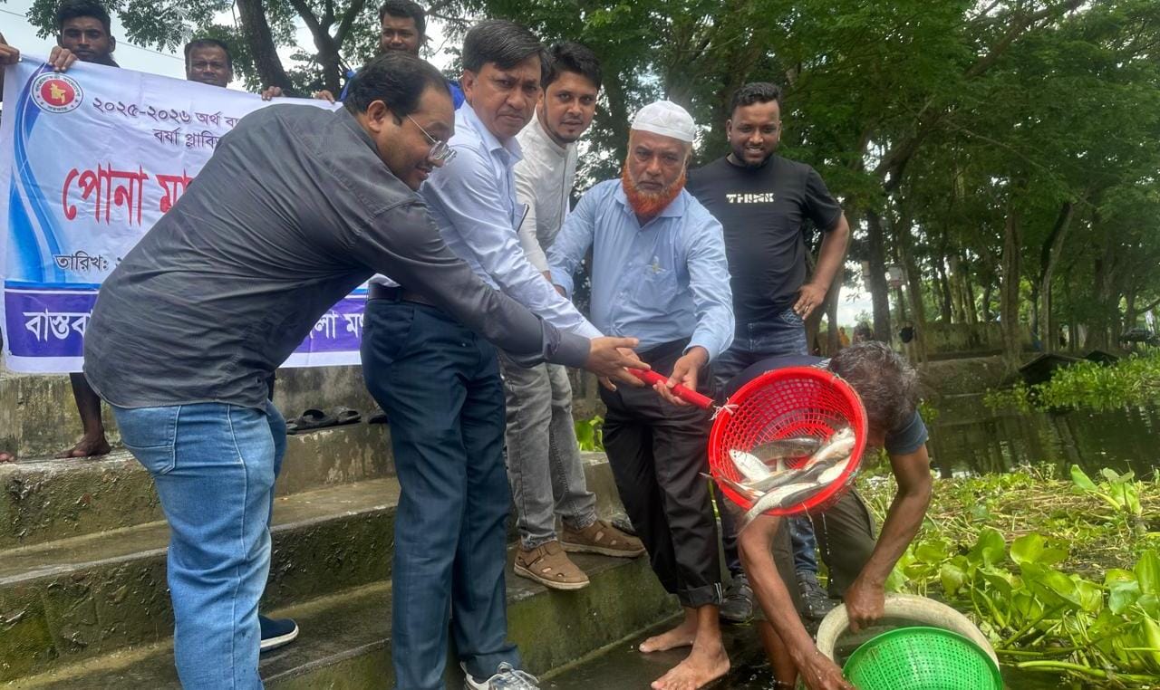 কচুয়ায় উন্মুক্ত ও প্রাতিষ্ঠানিক জলাশয়ে মাছের পোনা অবমুক্তকরণ