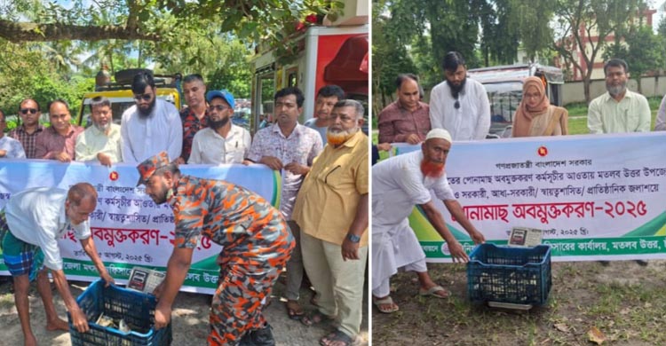 মতলব উত্তরে ৩৭৫ কেজি, অন্যত্র কতো?