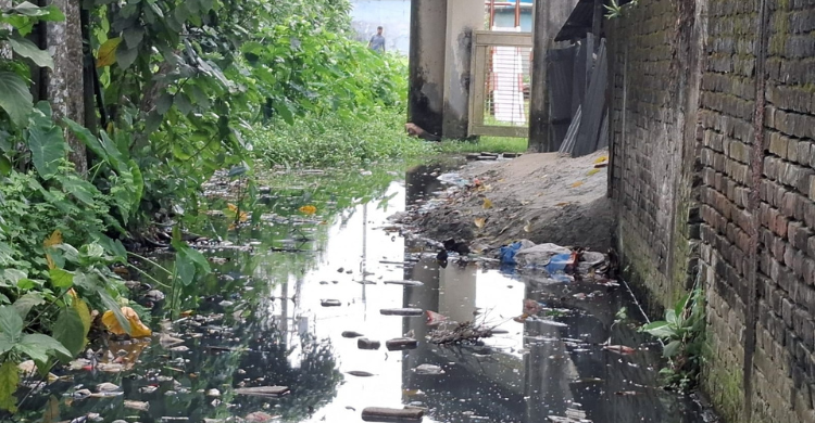 জলাবদ্ধ  স্কুল সড়ক মশার প্রজনন ক্ষেত্র