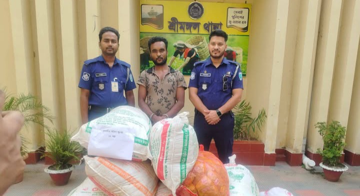শ্রীমঙ্গলে ভারতীয় ফুচকা সহ আটক ১