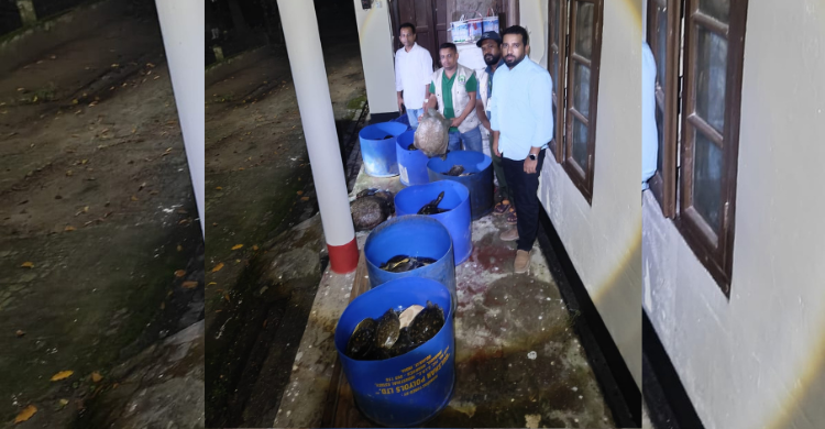 নোয়াখালীতে ৪২৫ কচ্ছপ উদ্ধার