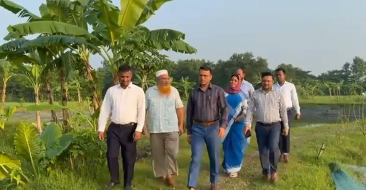 কচুয়া পৌরসভা প্রথম শ্রেণির হলেও গড়ে উঠেনি ডাম্পিং স্টেশন