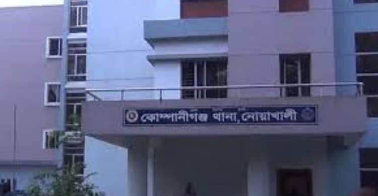 পুকুরে ডুবে সহোদর দু ভাইয়ের মৃত্যু