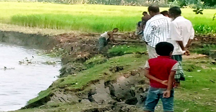 রাজাপুরের বিষখালীতে ভাটির টানে হঠাৎ ভাঙ্গন