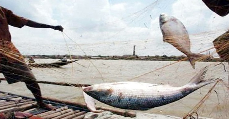 নিষেধাজ্ঞা শেষ।। পুনরায় মাছ ধরা শুরু