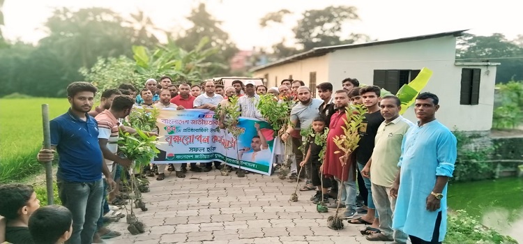 যুবদলের ৪৭তম প্রতিষ্ঠাবার্ষিকী উপলক্ষে শাহরাস্তিতে বৃক্ষরোপণ কর্মসূচি