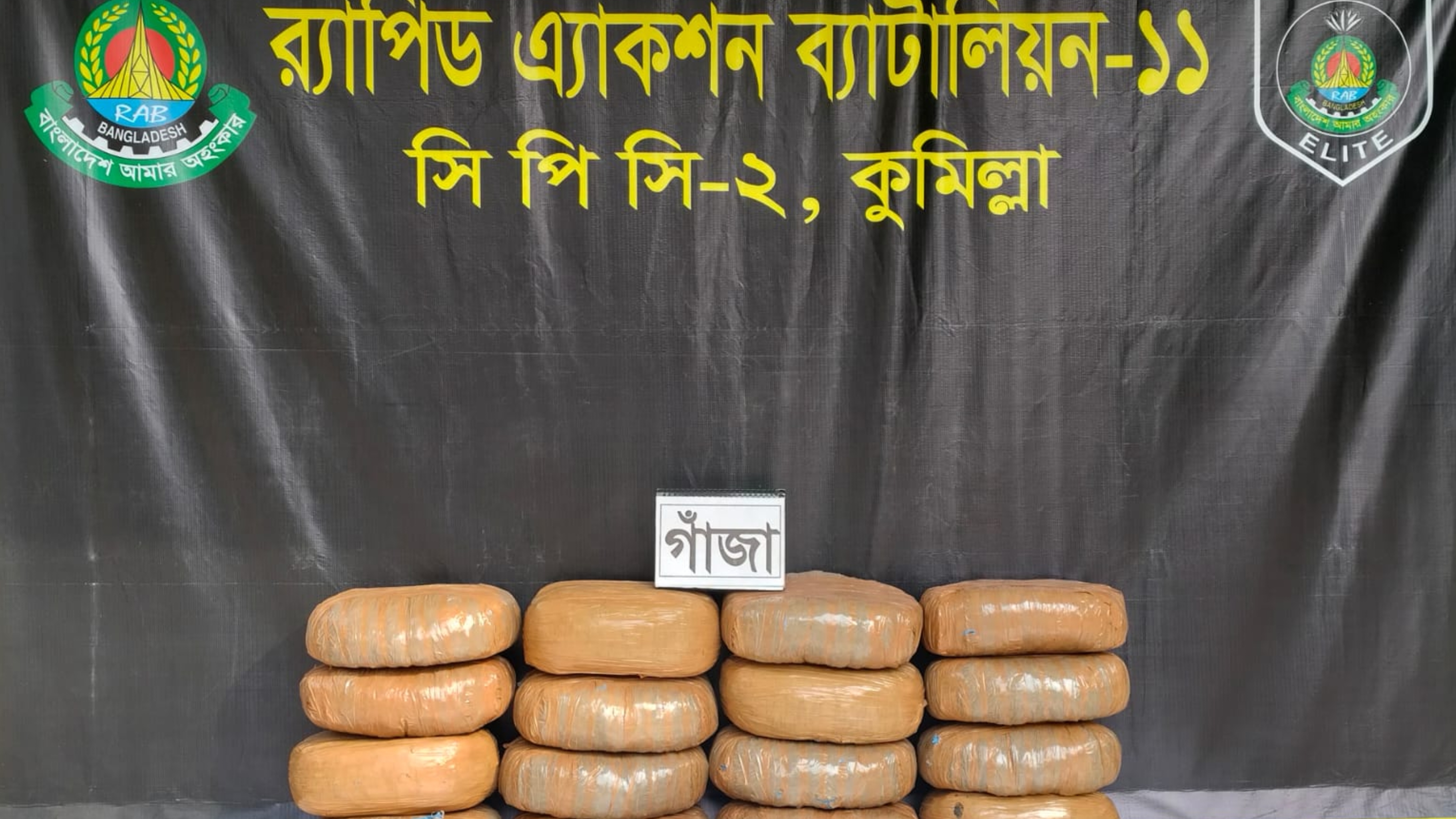 র্যাব-১১-এর অভিযানে ৪০ কেজি গাঁজাসহ ১ মাদক ব্যবসায়ী গ্রেফতার