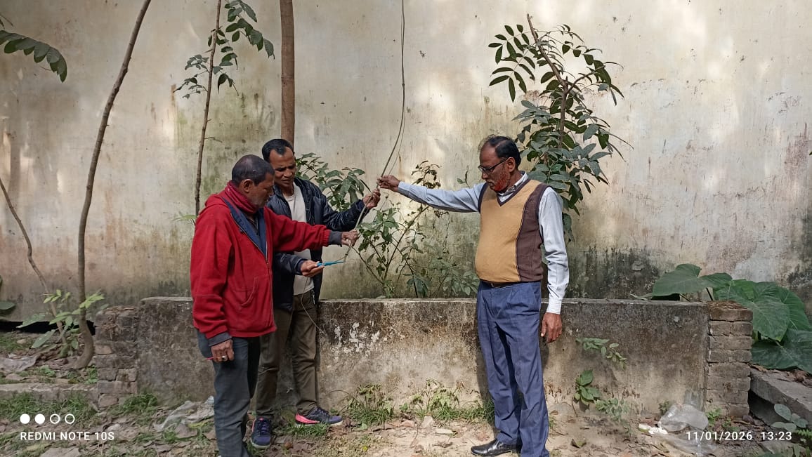 চাঁদপুর রোটারী ভবন ও কেজি স্কুলে গভীর রাতে চুরি