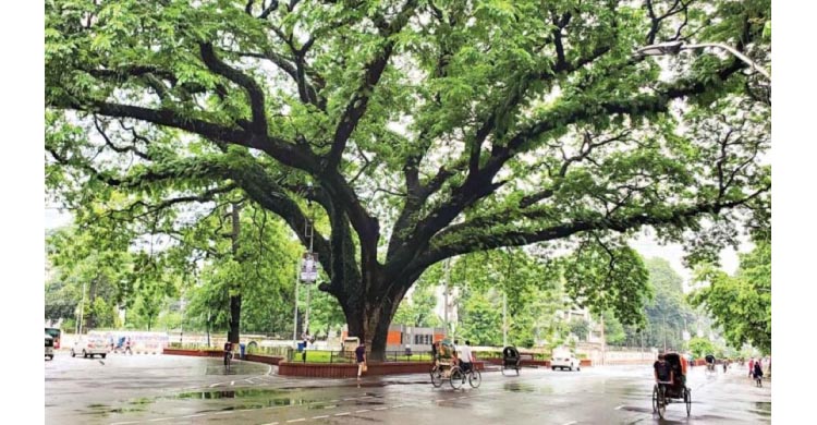 ফিরে দেখা ক্যাম্পাসের দিনগুলো