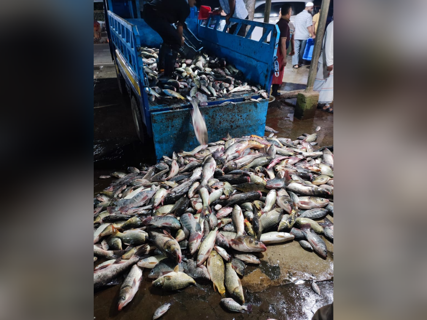 লক্ষ্মীপুর দোকানঘরস্থ পুকুরে দুর্বৃত্তের বিষ প্রয়োগে ভেসে উঠলো ২০ লক্ষাধিক টাকার মাছ