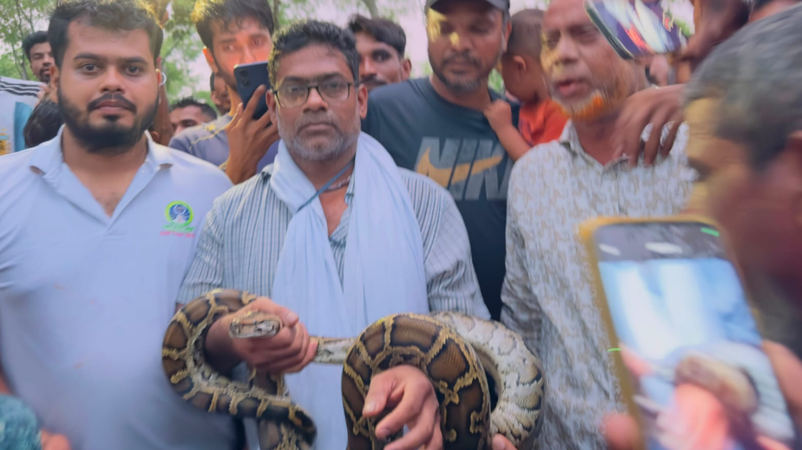 গাছের মগডালে ঝুলছিলো বিশাল আকৃতির অজগর