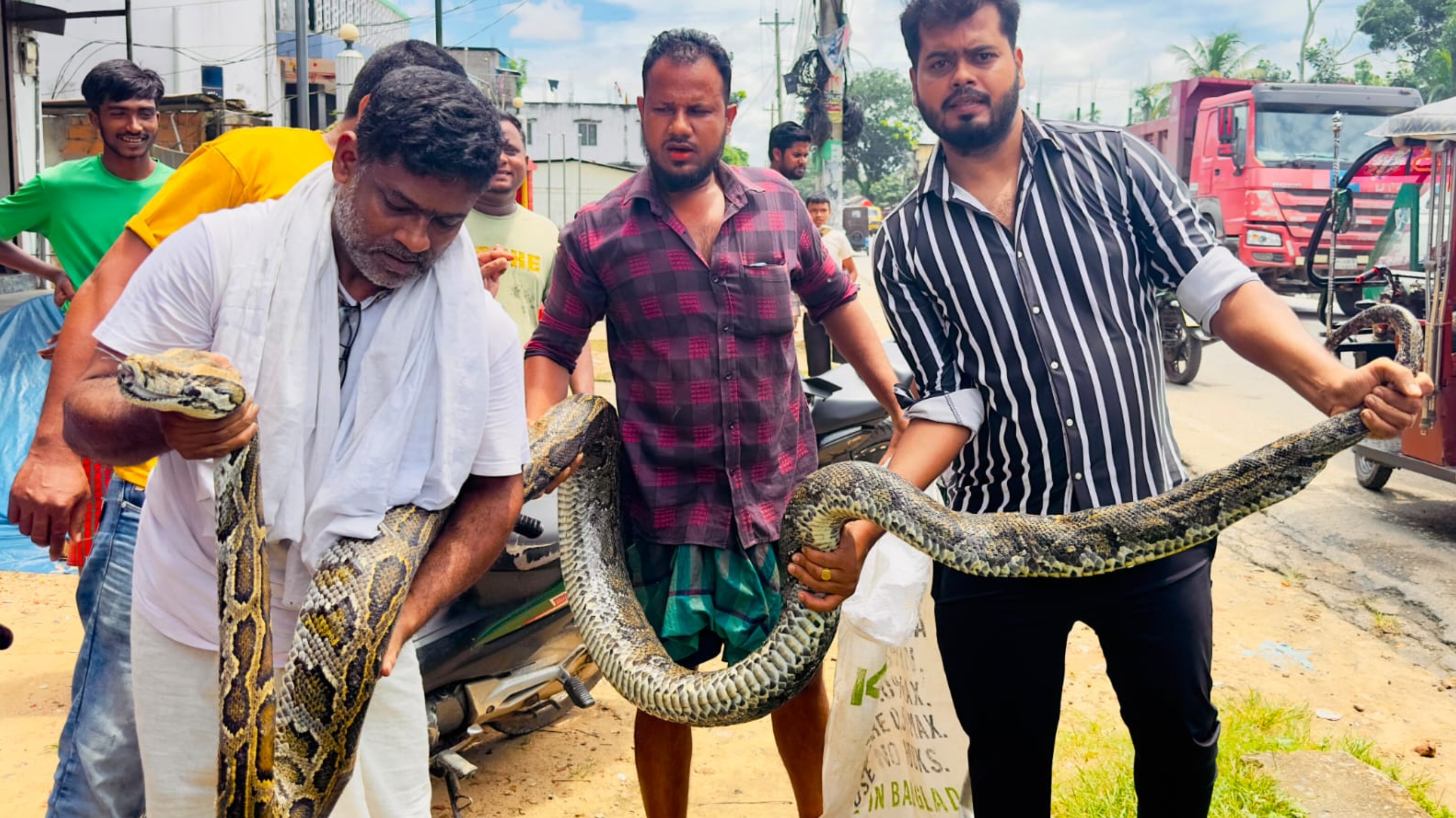 শ্রীমঙ্গলে ১৮ ফুট লম্বা বিশাল আকৃতির অজগর উদ্ধার