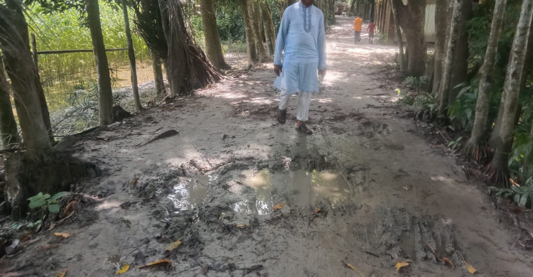 পশ্চিম সকদী সরকারি প্রাথমিক বিদ্যালয়ের রাস্তার বেহাল দশা