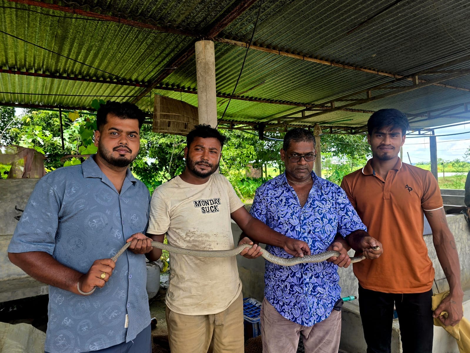 শ্রীমঙ্গলে লোকালয় থেকে ৪টি বন্যপ্রাণী উদ্ধার