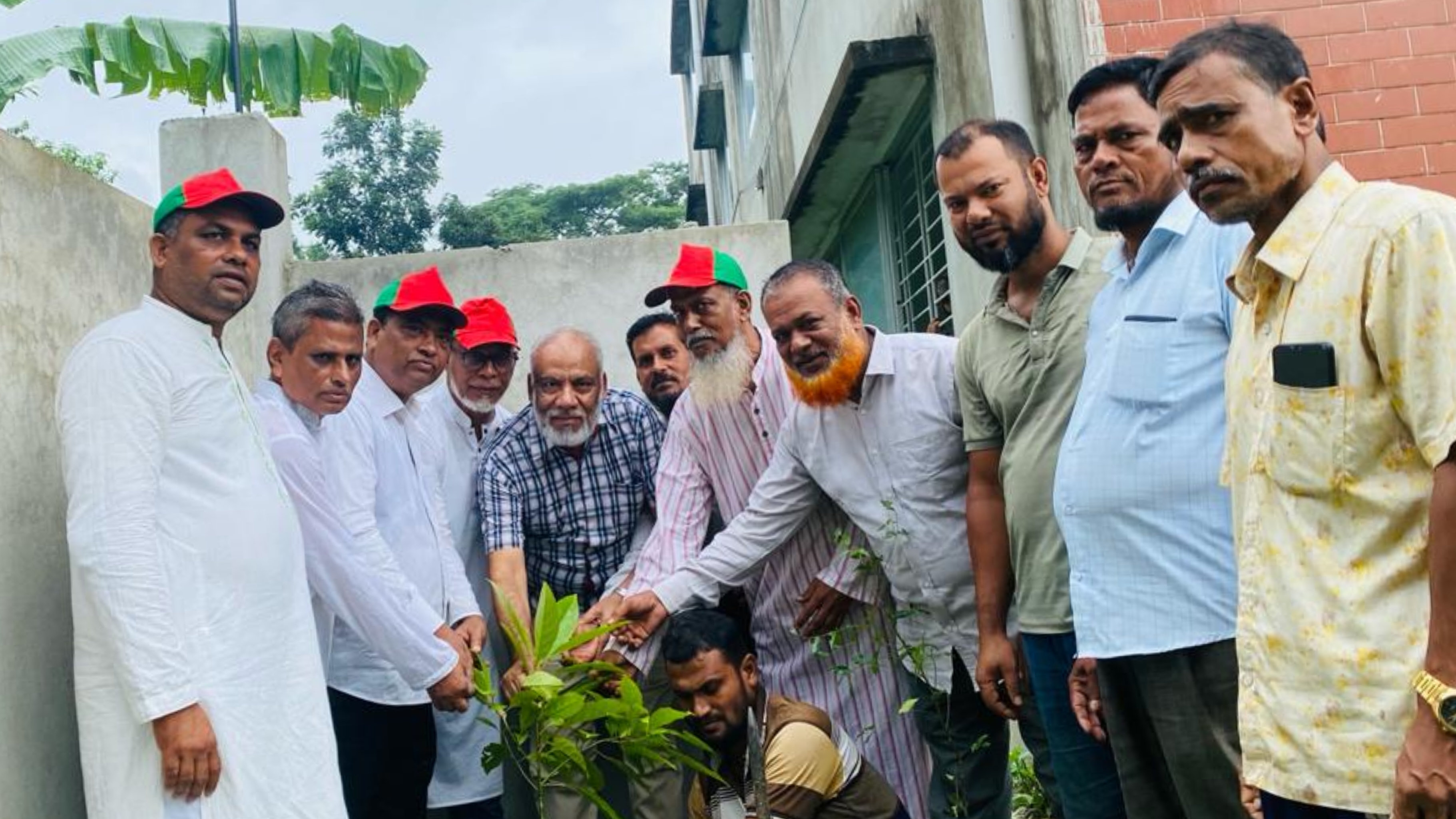মতলবে বিএনপির প্রতিষ্ঠাবার্ষিকীতে বৃক্ষরোপণ কর্মসূচি