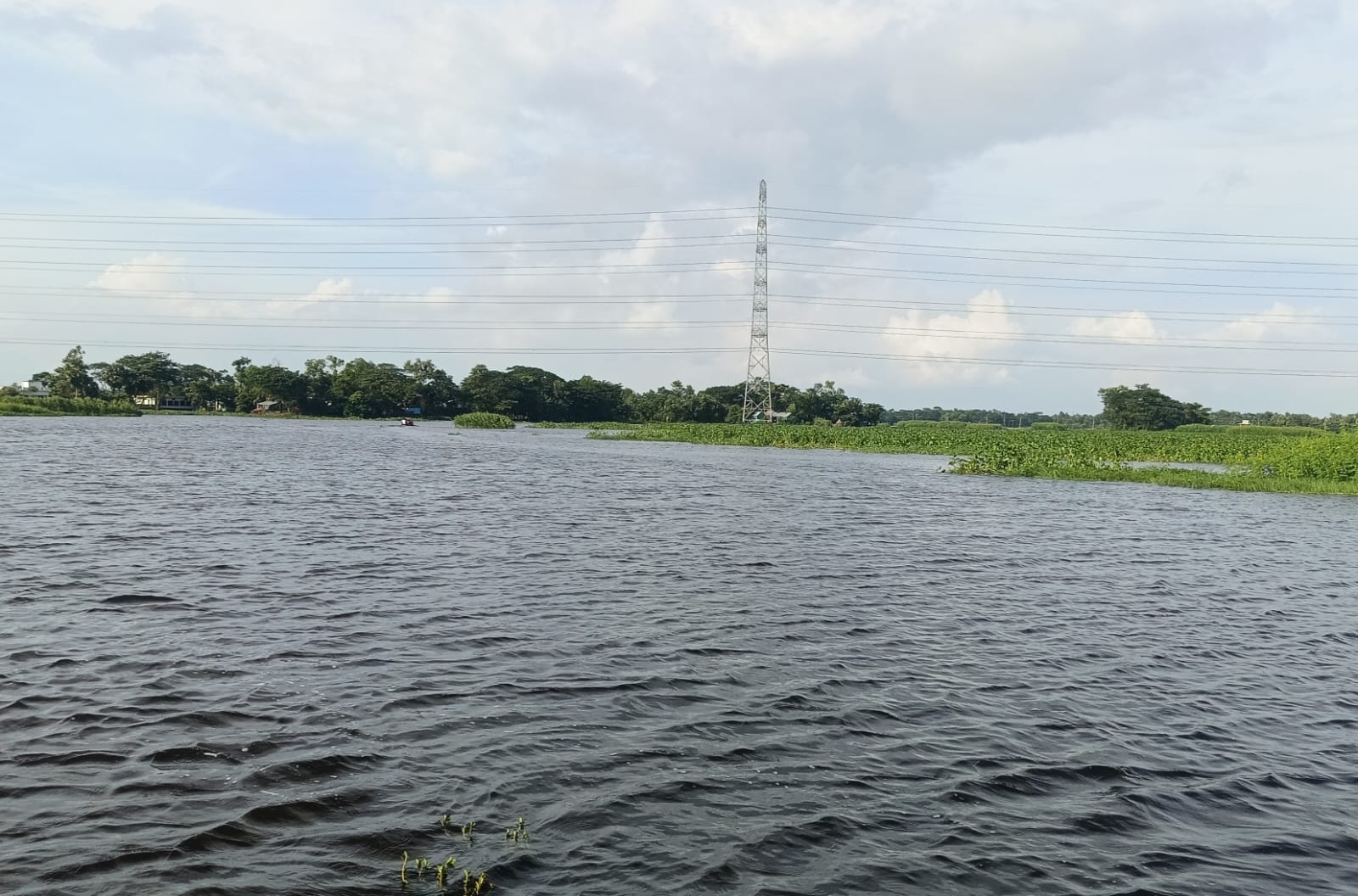 ইলিশ তো কমেছেই, দেশীয় মাছও হারিয়ে যাবে?