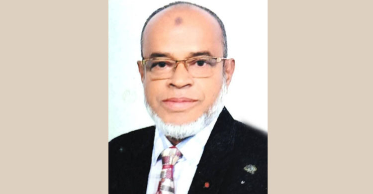 সংখ্যালঘু-সংখ্যাগুরু নয়, আমরা সবাই বাংলাদেশি