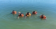 নয়কুড়ি কান্দার ছয়কুড়ি বিলের টাঙ্গুয়ার হাওর