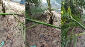 শাহরাস্তির বলশিদে সনাতন ধর্মাবলম্বীদের সম্পত্তি দখলের পাঁয়তারা