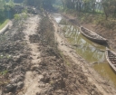ফলো আপ