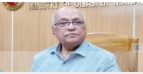 শেখ মুজিবসহ মুজিবনগর সরকারের সবাই মুক্তিযোদ্ধা : ফারুক-ই-আজম