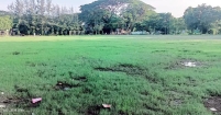 পৃষ্ঠপোষকতা ও উপকরণের অভাবে বাবুরহাট উচ্চ বিদ্যালয় ও কলেজ মাঠে নেই জমজমাট অবস্থা