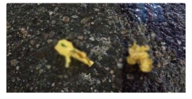 রাজধানীতে রাতের নিস্তব্ধতায় ককটেল বিস্ফোরণ!