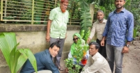 মতলবে নারী কল্যাণ সমিতির বৃক্ষরোপণ ও কৃতী শিক্ষার্থীদের পুরস্কার প্রদান