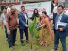 রায়পুরে শিক্ষা প্রতিষ্ঠানে পূবালী ব্যাংকের ৫০০ গাছের চারা রোপণ