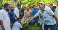 গাছ হলো প্রকৃতির প্রাণ, আর  খালেদা জিয়া বাংলাদেশের প্রাণ